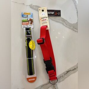 Set of 2 Dog Collars